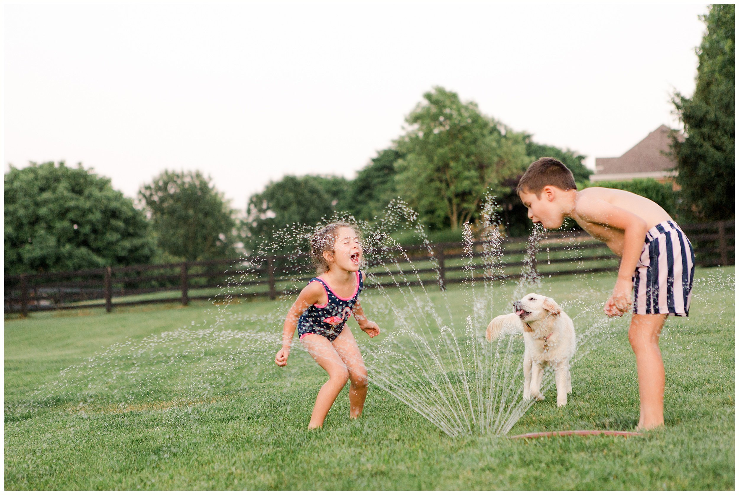  A little girl and boy playing in the sprinklers with their puppy. Summer family photos in Lexington KY by Priscilla Baierlein Photography. 