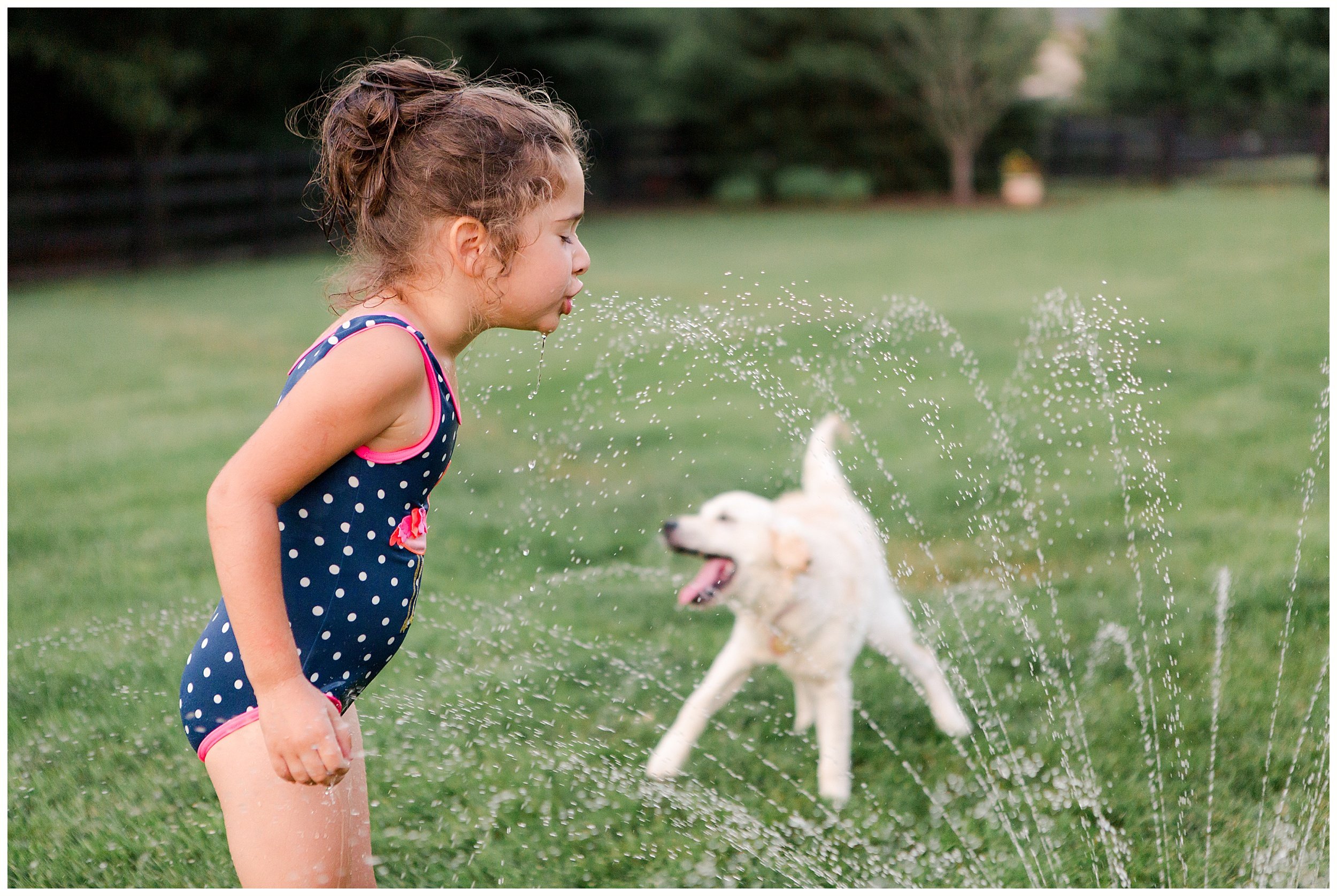  A little girl and her puppy drinking from the sprinkler. Summer in Kentucky. Summer family photos by Priscilla Baierlein Photography. 