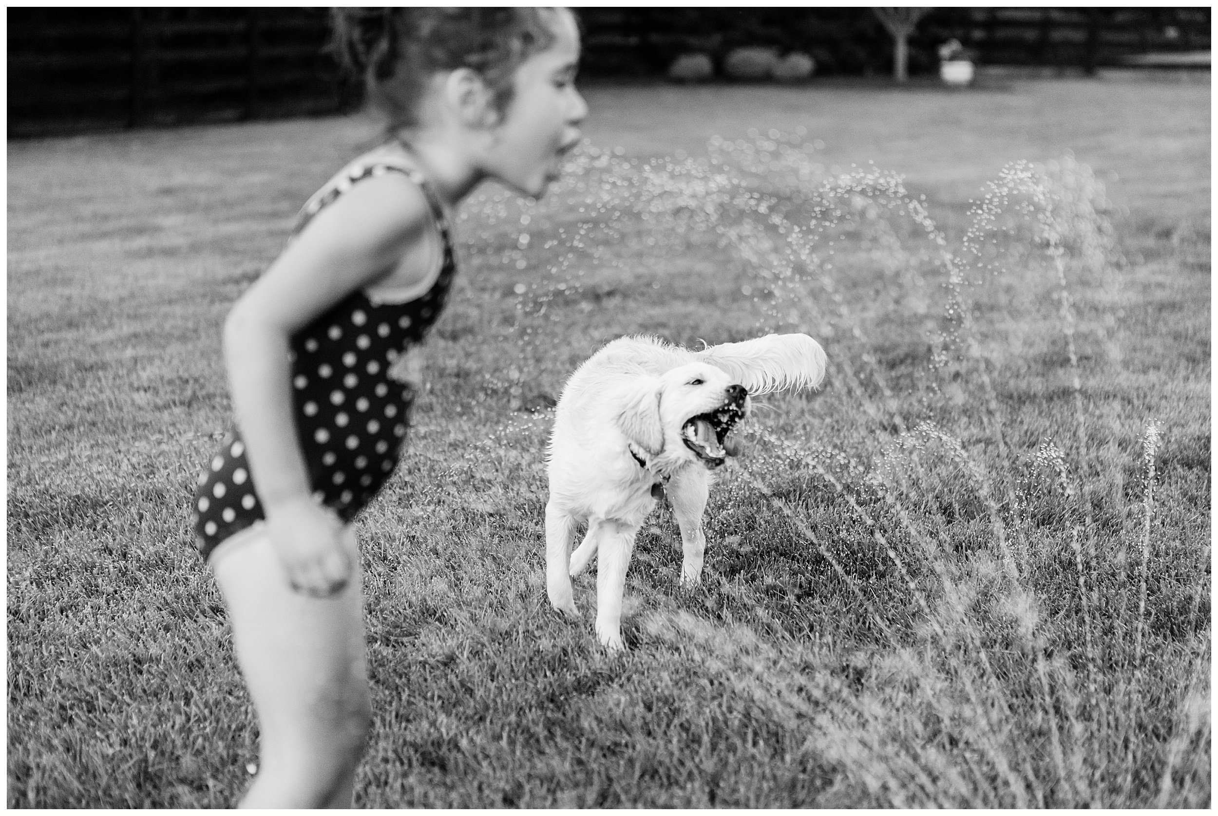  Black and white photo of a girl and her puppy drinking from the sprinklers. Summer time in Kentucky was captured by Priscilla Baierlein Photography. 
