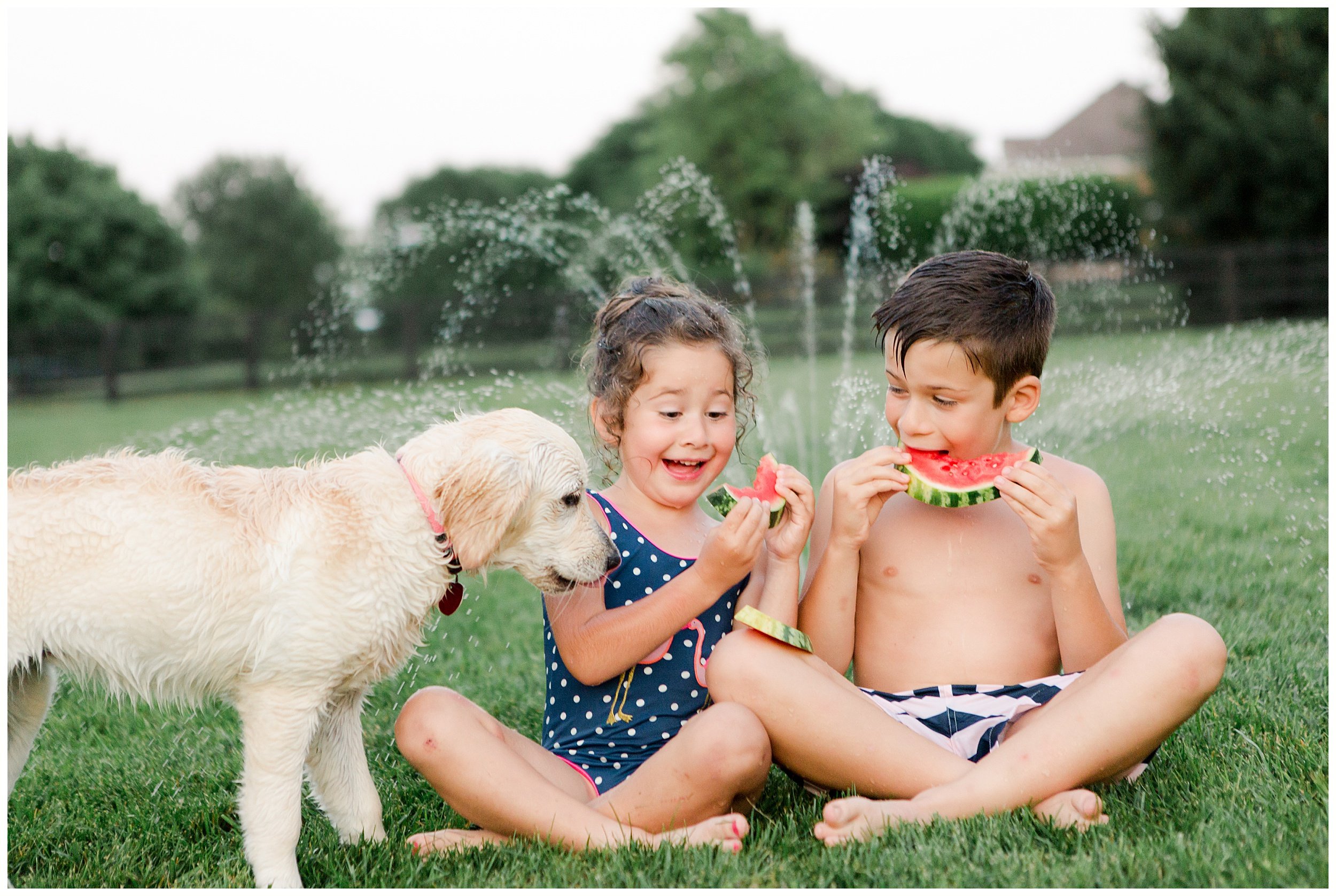  Puppy sneaking a bite of watermelon from little girl and boy in front of sprinklers. Summer fun in Kentucky captured by Priscilla Baierlein Photography. 