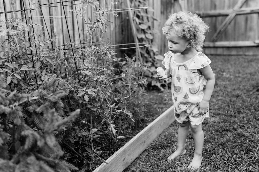 A black and white image of a little girl looking for tomatoes in her backyard garden in Kentucky.