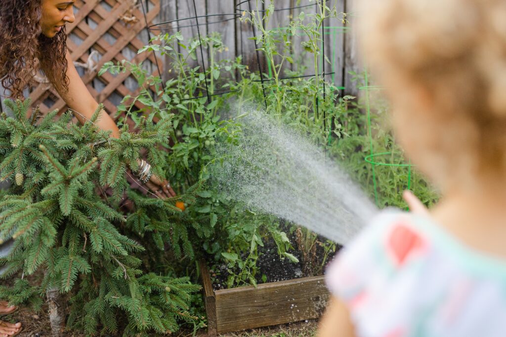 A little girl watering a backyard garden while her mom picks a tomato.
