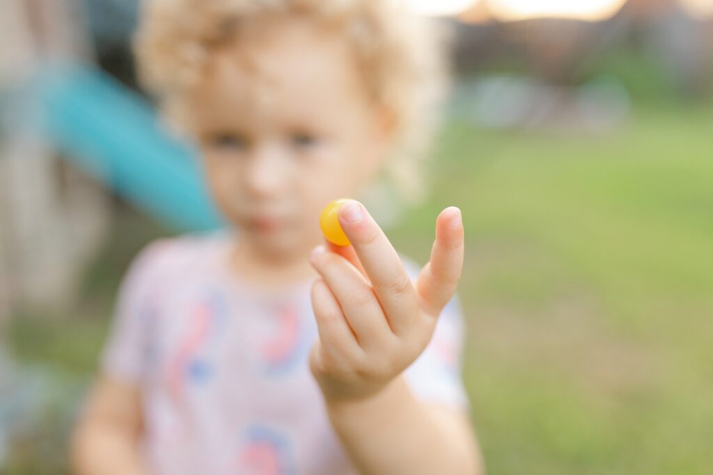 A little girl holding a tomato she just found in her backyard garden.