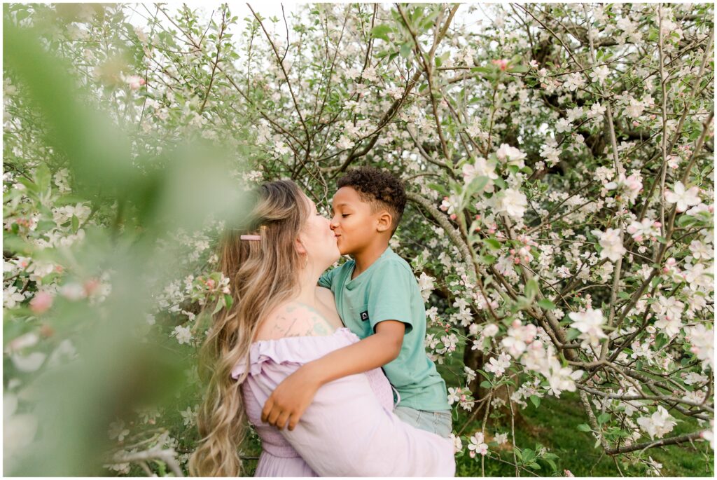 A mom kisses her son while holding him and standing in an apple tree in bloom at Shaker Village in KY.